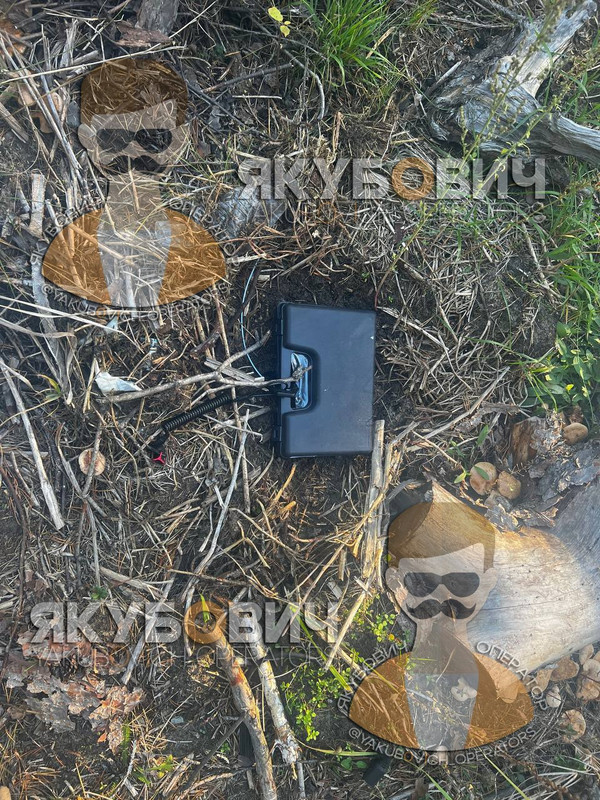 Фото под текстом