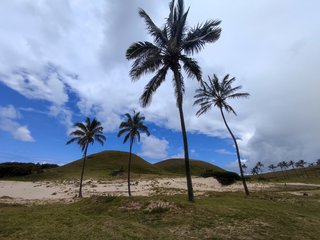 Isla de Pascua - Chile - Blogs de Chile - Vaihu-Ahu Akahanga-Rano Raraku-Ahu Tongariki-Te Pito Kura-Ahu Nau Nau-Anakena (30)
