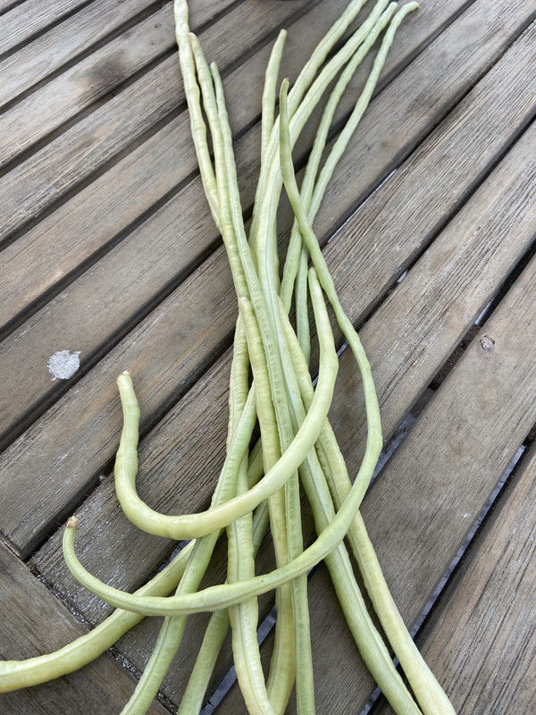 9C574880-BA83-4BB4-888A-E115985DCB87