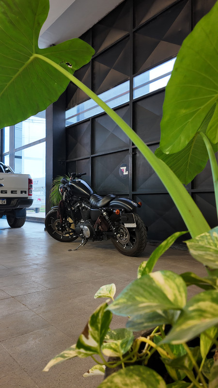 Harley Davidson Sporter 883 - 3