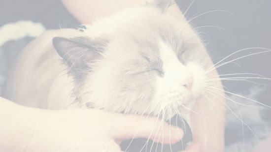 [Image: th-c8r-TVHddg-SJj-MKf24-ISn-C3g0-HI5-Acd-Em.jpg]