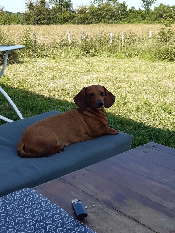 [Image: 20230529-170105.jpg]