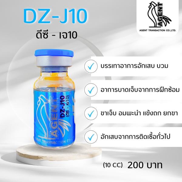 DZ-J10