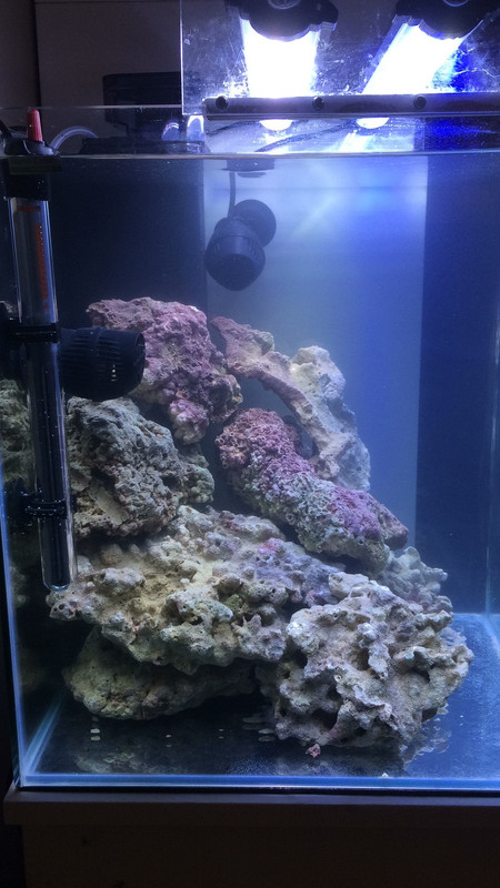 6BF259C3-A01C-459E-AAB1-8453D60BC0B2