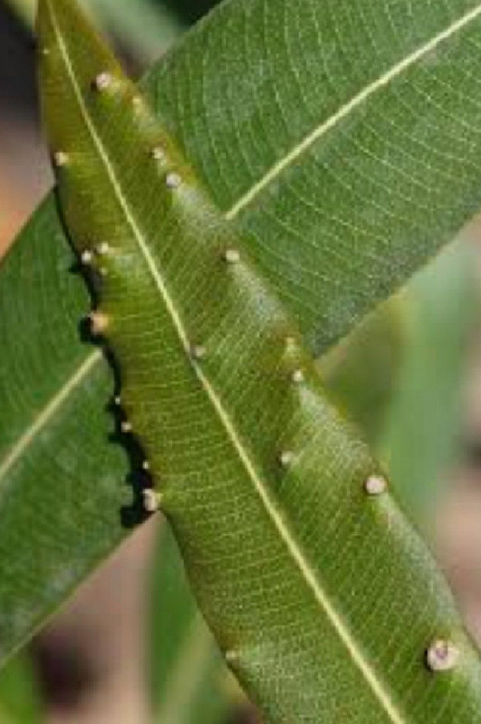 IMG_20220531_234808_838