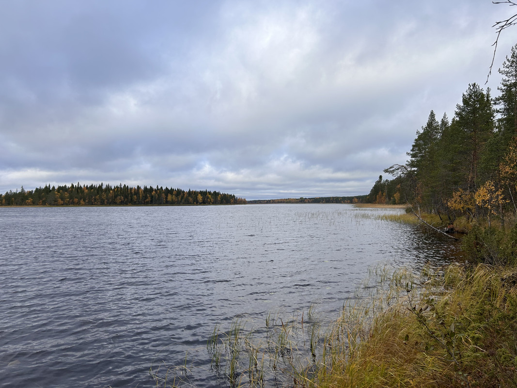 IMG-0042.jpg