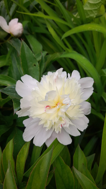 Изображение WhatsApp 2025-05-14 в 12.00.03_25233b71