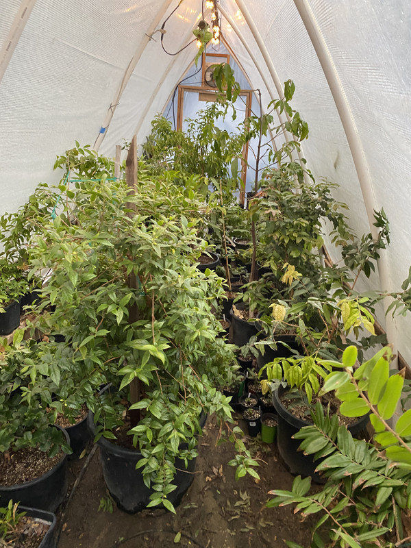 D6F5C0D8-3EBA-4451-A5AE-43102D1F2308