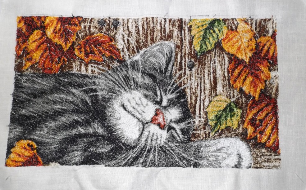 Фабрика форматовDSCF1926