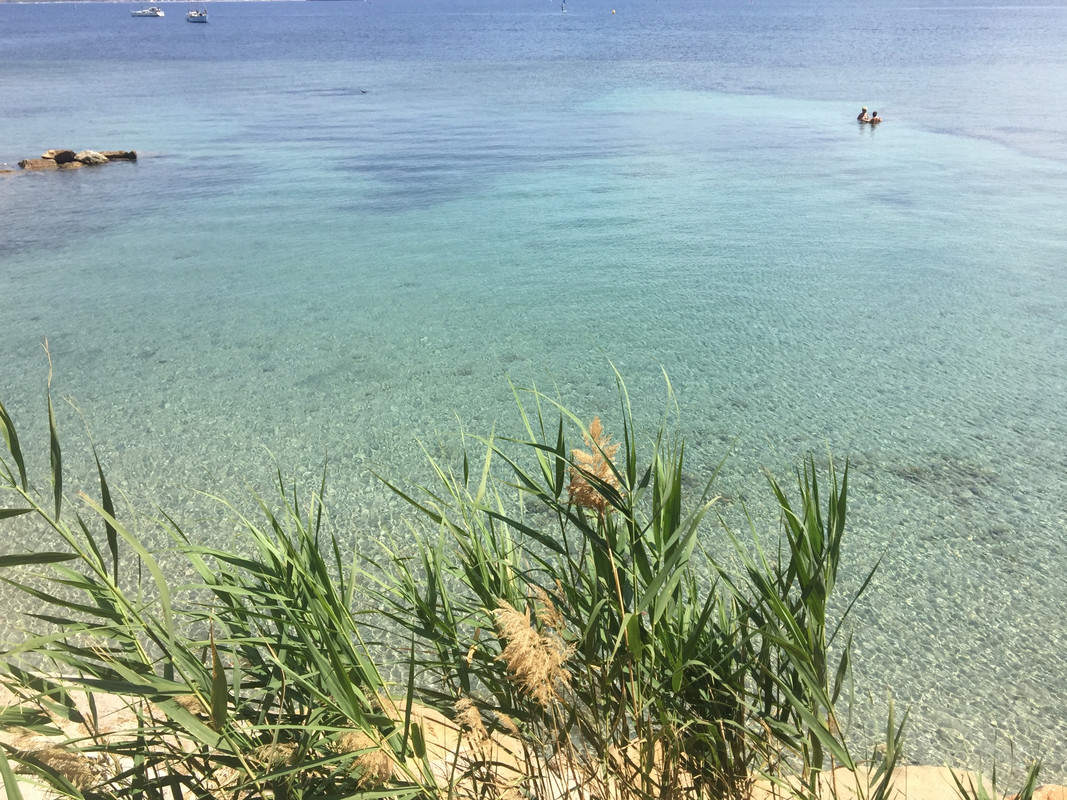 A5886CB2-60CB-4F8D-A7A3-0C3793D6A9FF