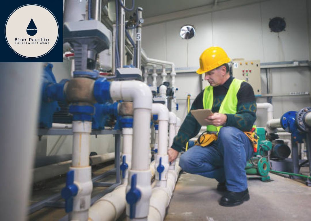 Blue Pacific Cape Cod