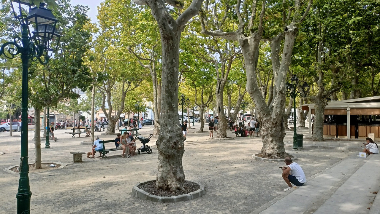 IMG20250806165542 (Large)