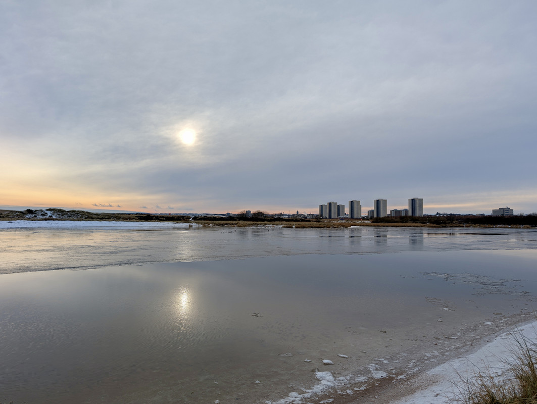 PXL_20250112_122124469.RAW-01.COVER_Original