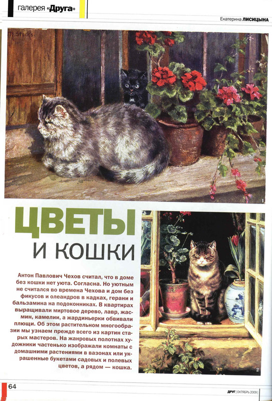 Друг кошек № 10 2009-58