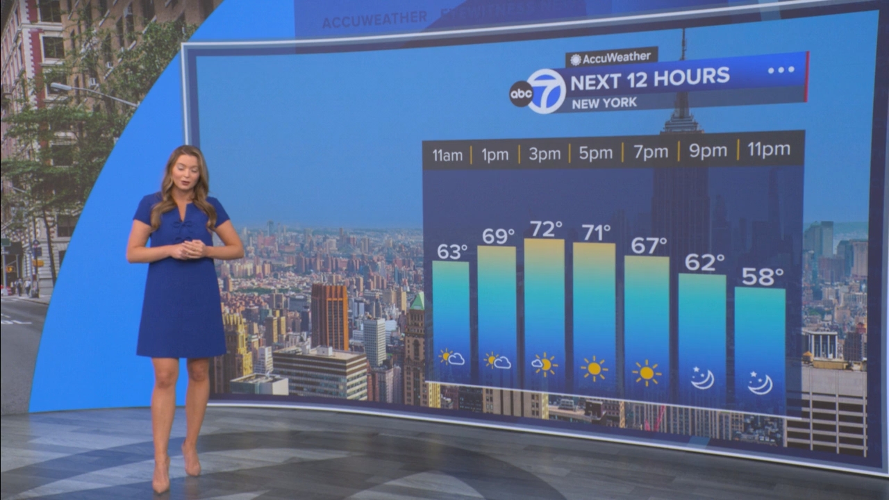 Eyewitness News Mornings at 10_20250519_15001600.ts_snapshot_00.31.03.269