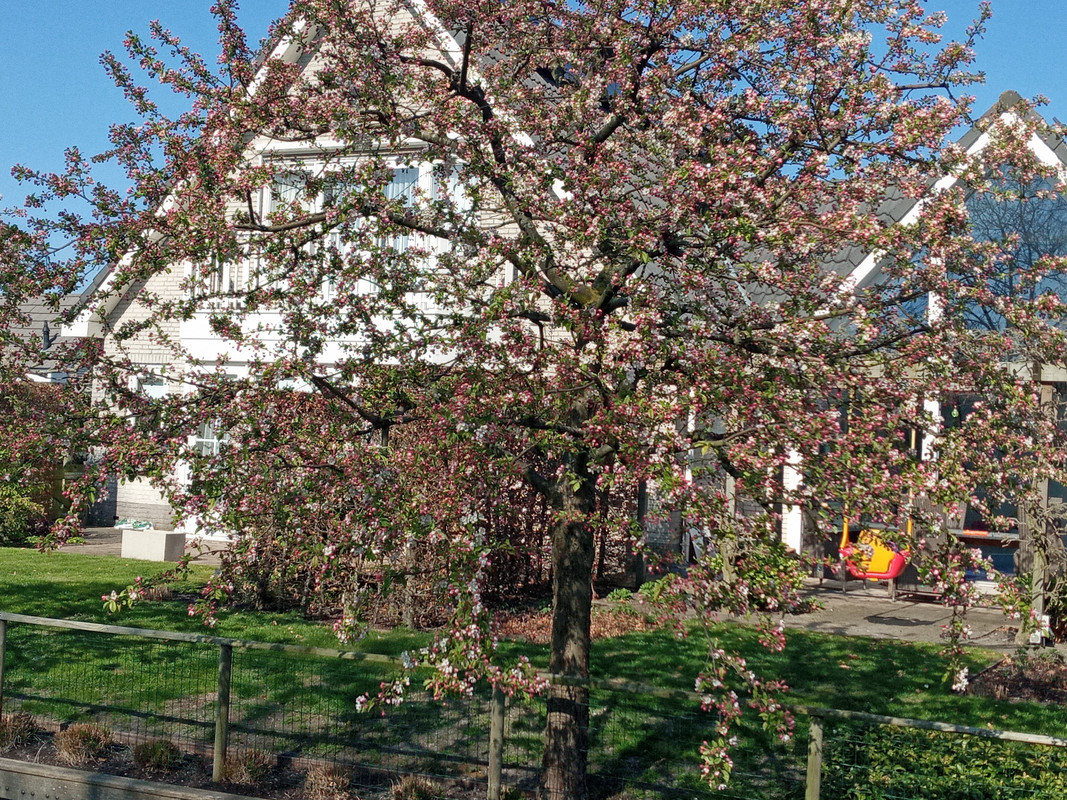 [Image: 20210427-164552.jpg]