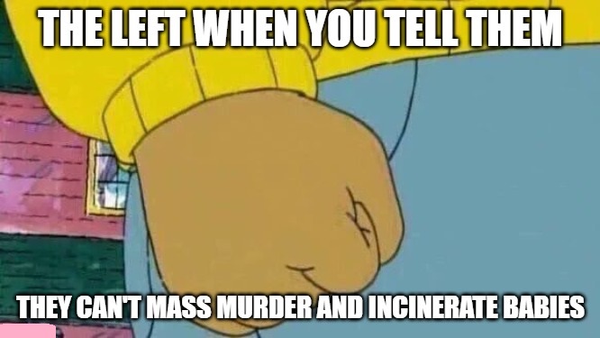 The-Left-When-You-Tell-Them-They-Can-t-Mass-Murder-And-Incinerate-Babies.jpg