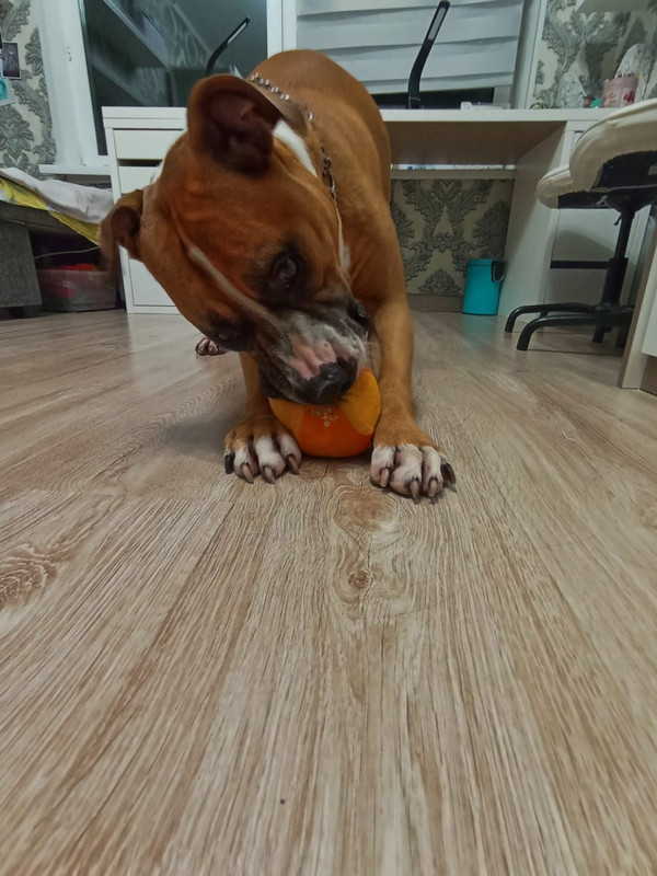 6586FA56-6755-402E-8136-851926A427A4