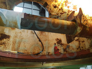 28060960-10215552755957236-5228167277206138938-o