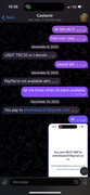 IMG-8003