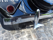 DSC07548.jpg