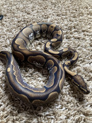 453E3395-B109-45AF-A35C-EE24E84884E2