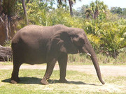 james-paterek-has-worked-in-the-construction-industry-for-15-years