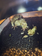 29af2127-a95e-4ab4-a98b-a092007dfe0c