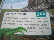 https://i.postimg.cc/ygBmPPjx/100-8112.jpg