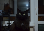 Безымянный6