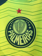 Palmeiras-3-23-24-4.jpg