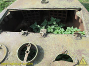 IMG-3555