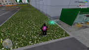 IMG-7088