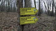 IMG-20190102-141320.jpg