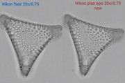 IMG-20260429-163605