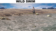 Wild-swim