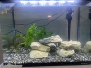 WhatsApp Image 2025-08-18 at 00.30.37