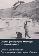 https://i.postimg.cc/ygcQvvhP/photo-2026-06-22-03-35-54.jpg