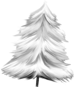 BC-Charlizes-Winter-29