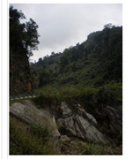 1C7C08A5-1767-4265-8767-1A3F0BF221FC