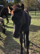 9-C6-B13-B5-98-BD-4516-9383-A1-EEDDEA50-C7