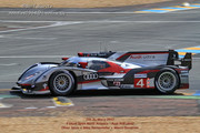 24 HEURES DU MANS YEAR BY YEAR PART SIX 2010 - 2019 - Page 11 2012-LM-4-Oliver-Jarvis-Mike-Rockenfeller-Marco-Bonanomi-16