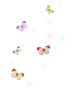 0-1c0bd0-222629a7-orig