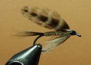 Badger-Quill-1080