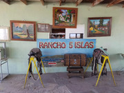 244756852_845112272829978_6448601898781900987_n