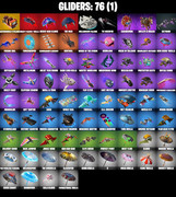 gliders-comp