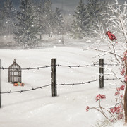 Christmas-Dreams-Papers-11
