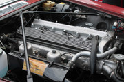 IMG-3109.jpg