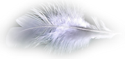 h-l7c082kw