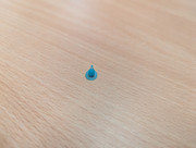 PXL_20231004_093912229